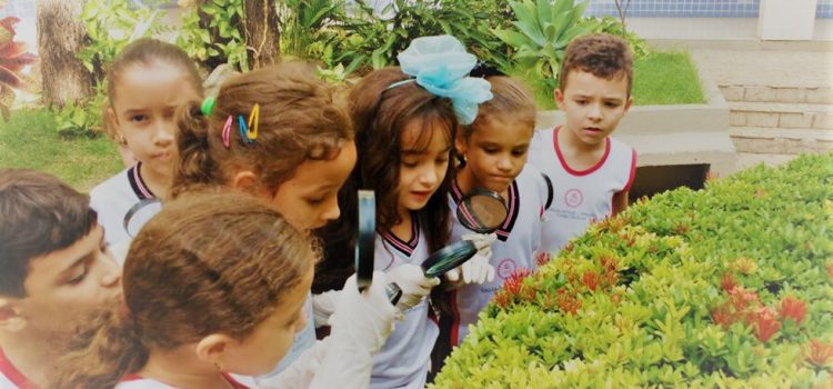 Turmas do 2º ano realizam atividade avaliativa de Iniciação Científica Turmas do 2º ano realizam atividade avaliativa de Iniciação Científica