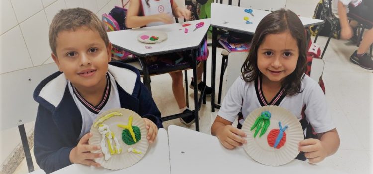 1º ano – Modelando um trilobita 1º ano – Modelando um trilobita
