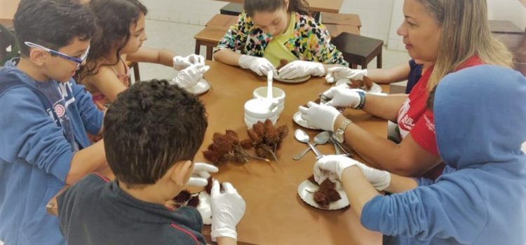 Produção de corante no Tempo Complementar